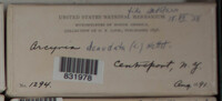Image Associated With the Occurence